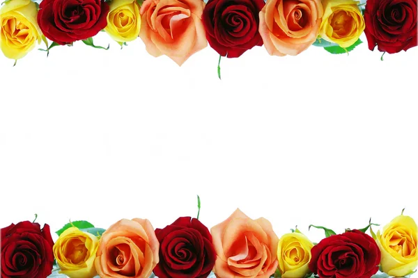 Borde floral compuesto de rojo, amarillo y melocotón —  Fotos de Stock