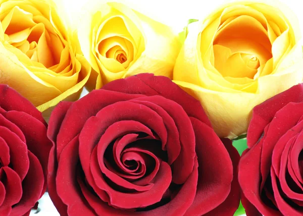 三支红玫瑰和三支黄玫瑰. — 图库照片