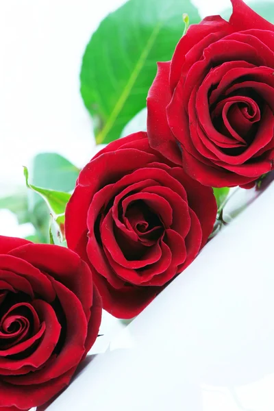 Drei rote Rosen isoliert auf weiß. abgewinkelt — Stockfoto
