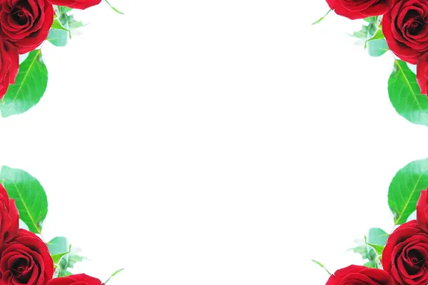 美丽的红玫瑰装饰角部的边框 — 图库照片