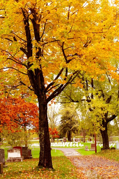 Herfstbladeren op bomen in een rustige land begraafplaats. — Stockfoto