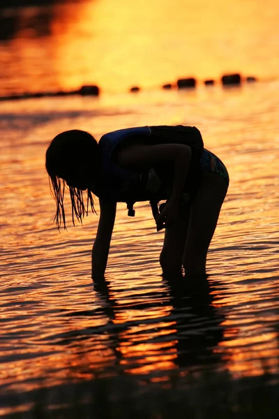 À procura de conchas ao pôr do sol — Fotografia de Stock