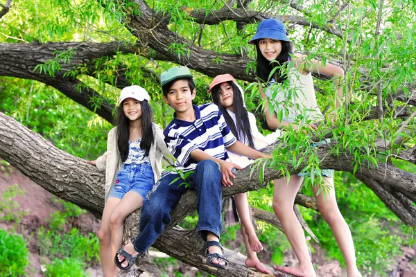 Crianças subindo na árvore — Fotografia de Stock