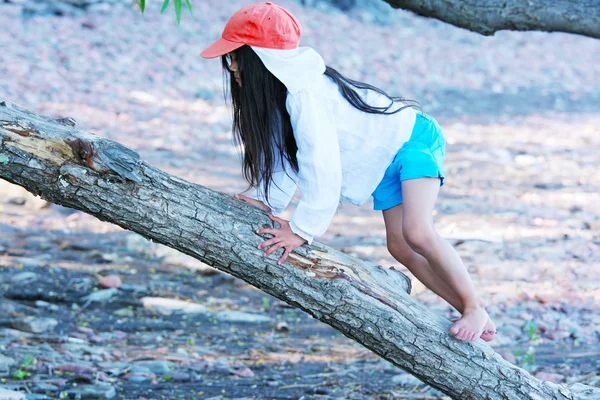 Lite tjej klättra träd — Stockfoto