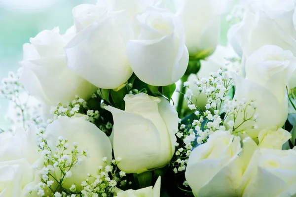 Elegante witte rozen — Stockfoto