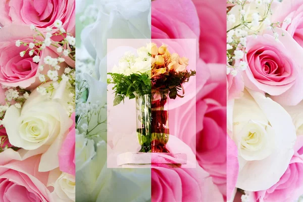 Hermoso collage de rosas — Foto de Stock