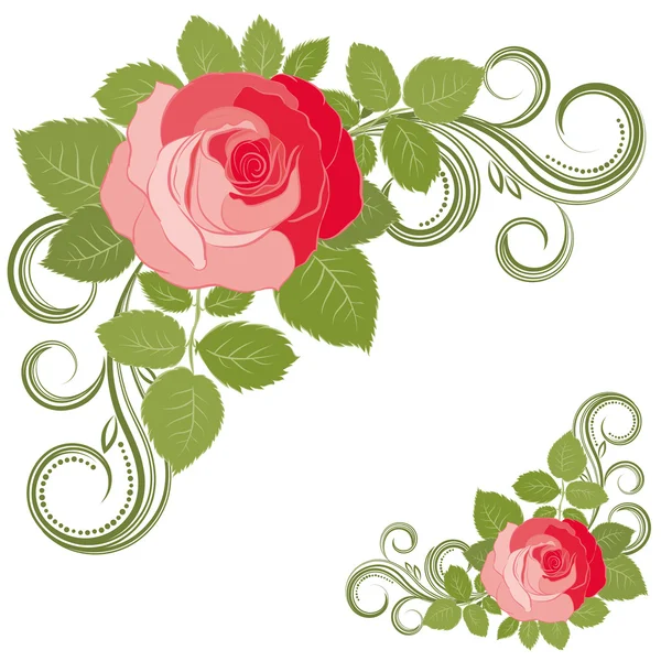 Rose et boucles . — Image vectorielle