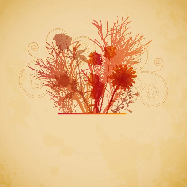 Floral vintage background — Stock Vector