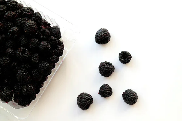 Blackberry in container — Stock Photo, Image