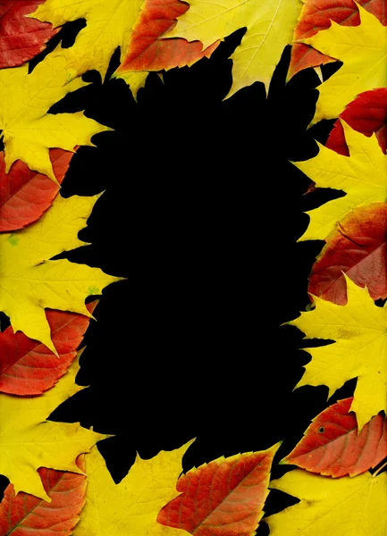 Cadre de feuille d'automne. Fond noir . — Photo