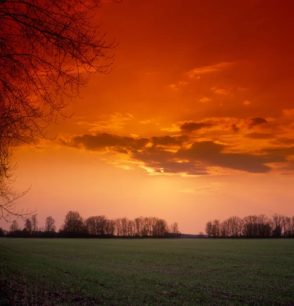 Sunset. — Stock Photo, Image