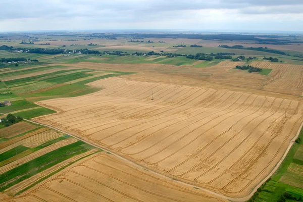 Meadows and fields. Aerial image. — Stock Photo, Image