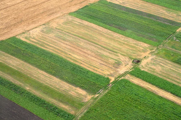 Prados e campos. Imagem aérea . — Fotografia de Stock