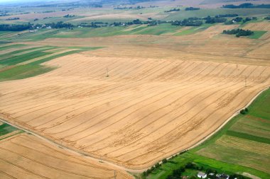 Meadows and fields. Aerial image. clipart