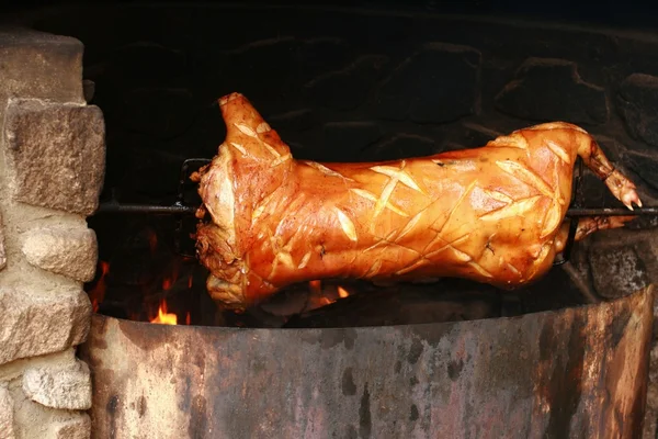 Kavrulmuş domuz üzerinde şiş — Stok fotoğraf
