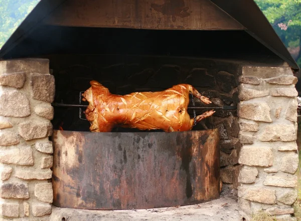 Roasted pig on the spit — Stock Photo, Image