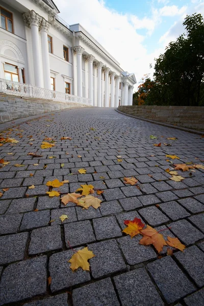 Pavement with leaves — Stock Photo, Image