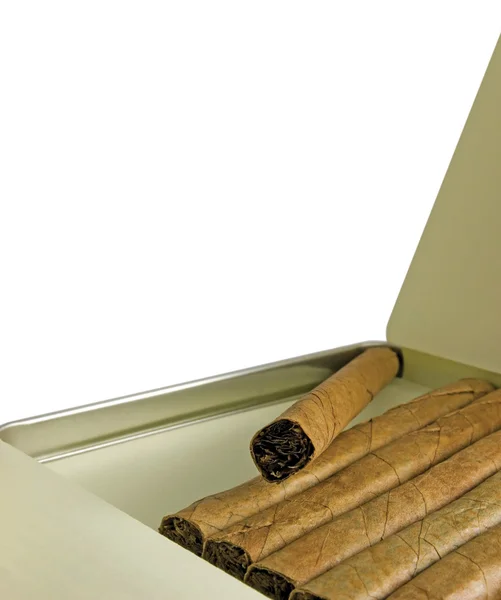Cigarrlåda med cigarrer närbild — Stockfoto