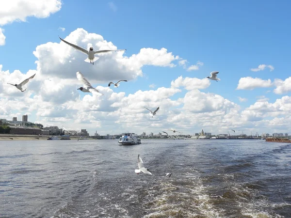 Волга — стокове фото