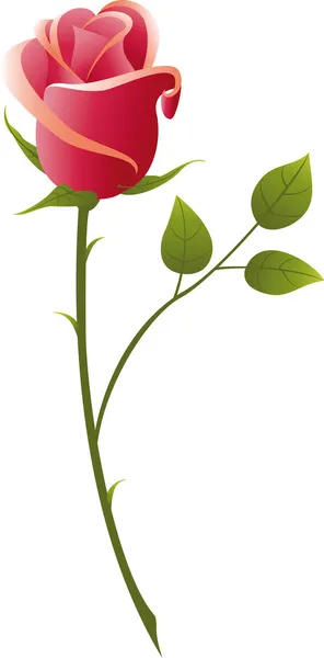 stock vector Rose