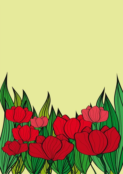 Poppies background — Stock Vector