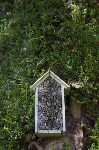Дом осы — стоковое фото