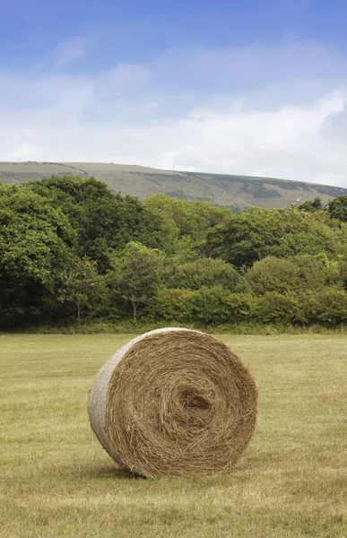 Stock image Straw Bail