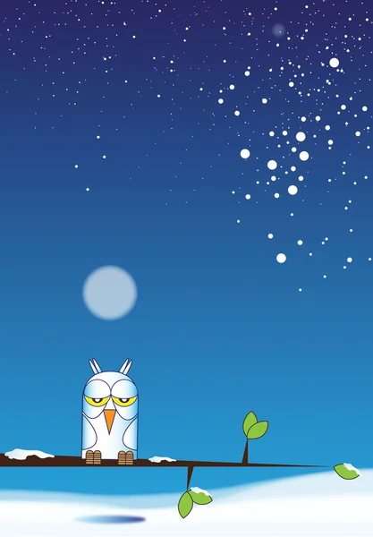 Snowy Owl — Stock Photo, Image