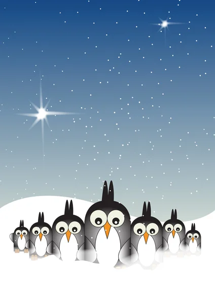 Pinguini innevati — Foto Stock