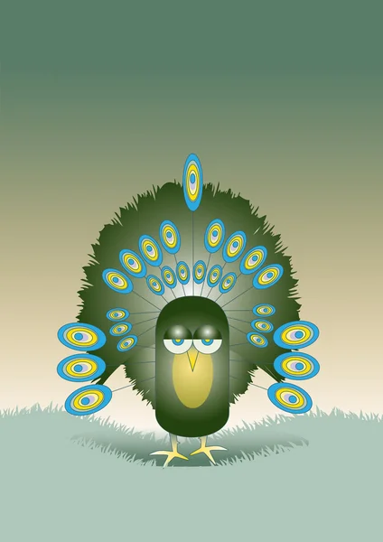 Single Peacock — Stock Photo, Image