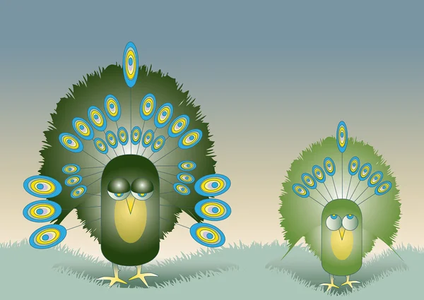 Two Peacocks — Stock Photo, Image