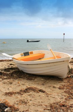 White and Yellow boat on shore clipart