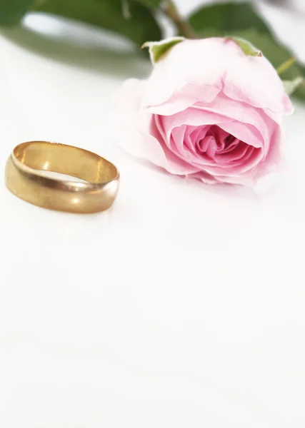 stock image Rose and Ring