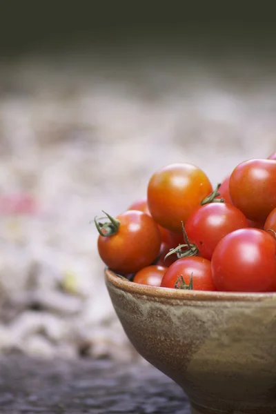 Bowl of Red Tomatoes — Stock Photo, Image