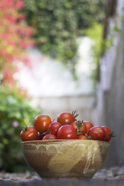 Bowl of Tomatoes — Stock Photo, Image