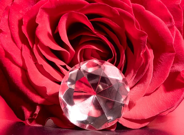 Róża pączek z gem — Zdjęcie stockowe