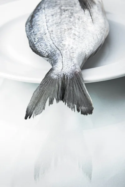 Pește proaspăt dorado — Fotografie, imagine de stoc