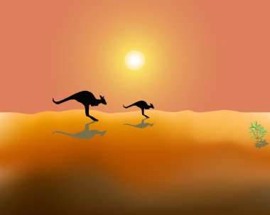 Kangaroos clipart