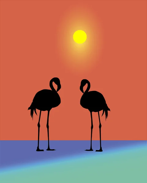 Silhouet van een flamingo — Stockvector