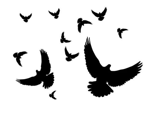 Siluetas de palomas — Vector de stock