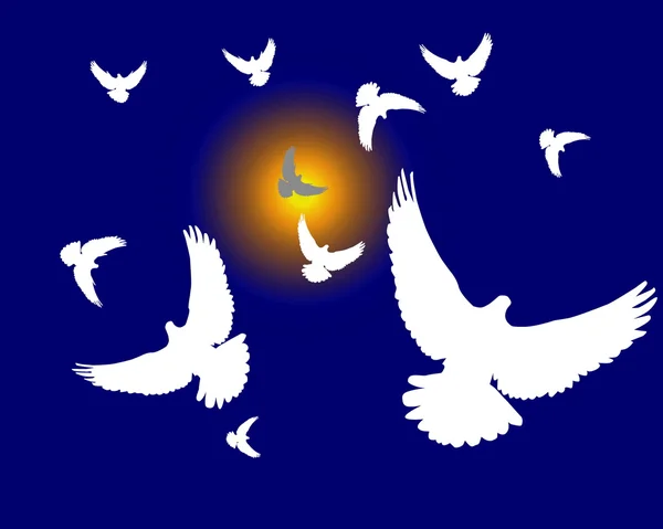 Группа белых голубей — стоковый вектор
