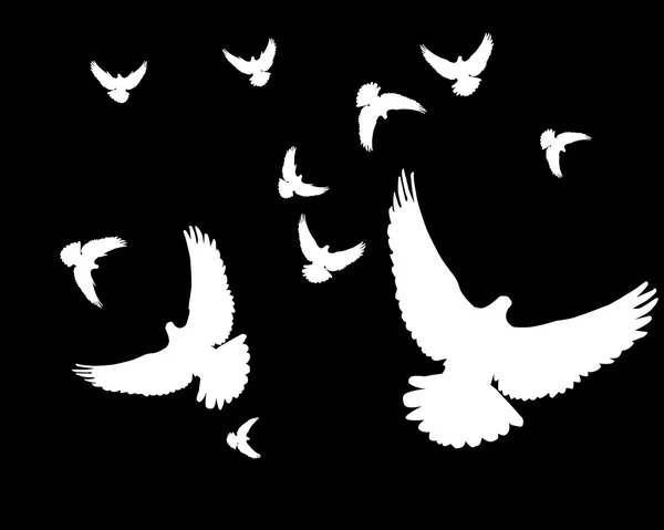 Siluetas blancas de palomas — Vector de stock