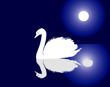 White swan floating on water clipart