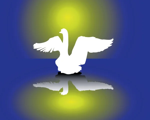 Cisne blanco — Vector de stock