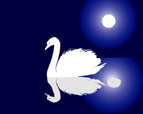 White swan floating on water — Stock Vector