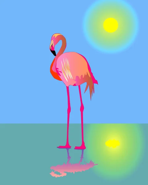Pink flamingo — Stock Vector