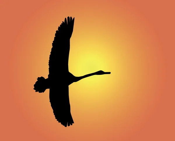 Silhouette of a flying swan — Stock Vector