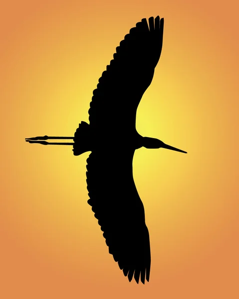 Silhouette eines fliegenden Reihers — Stockvektor
