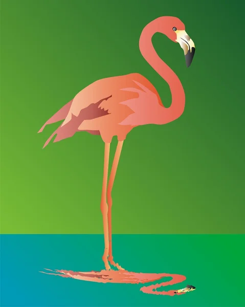 Yeşil arka planda pembe flamingo — Stok Vektör