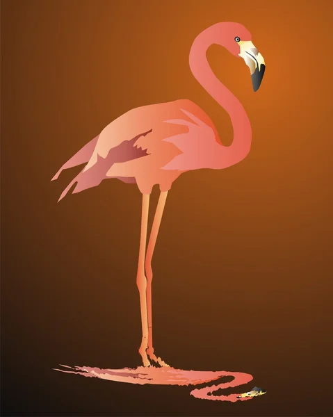 Roze flamingo — Stockvector